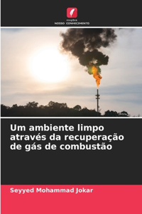 Um ambiente limpo através da recuperação de gás de combustão