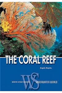 The Coral Reef