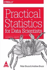 Practical Statistics for Data Scientists: 50 Essential Concepts Paperback â€“ 1 January 2017