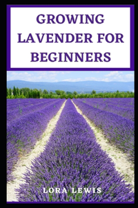 Growing Lavender for Beginners
