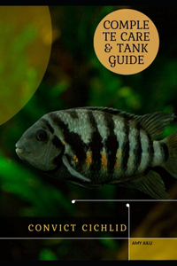 Convict Cichlid