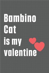 Bambino Cat is my valentine