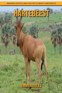 Hartebeest