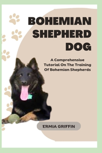 Bohemian Shepherd Dog