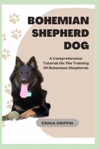 Bohemian Shepherd Dog