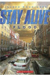 Flood
