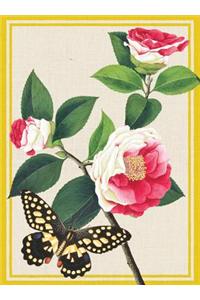 Winterthur Butterflies Everyday Embellished Notecards