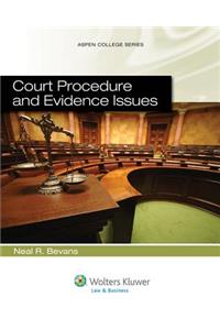 Court Procedure and Evidence Issues