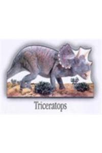 Dinosaur Board Book : Triceratops