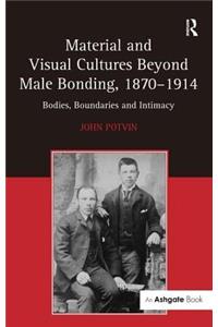 Material and Visual Cultures Beyond Male Bonding, 1870-1914