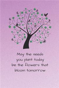 May the seeds you plant today be the flowers that bloom tomorrow