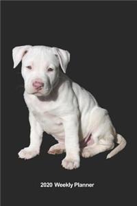 Plan On It 2020 Weekly Calendar Planner - I Love Pitt Bull Puppies - Yeah I Know I'm Adorable
