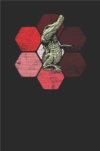 Crocodile Hexagon