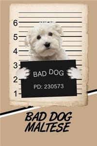 Bad Dog Maltese: Comprehensive Garden Notebook with Garden Record Diary, Garden Plan Worksheet, Monthly or Seasonal Planting Planner, Expenses, Chore List, Highlight