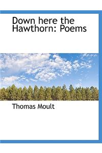 Down Here the Hawthorn: Poems