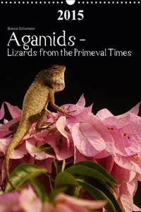 Agamids - Lizards from the Primeval Times 2015