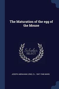THE MATURATION OF THE EGG OF THE MOUSE