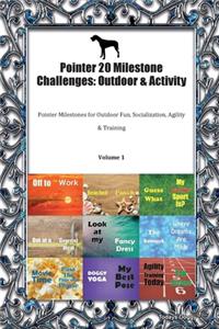 Pointer 20 Milestone Challenges