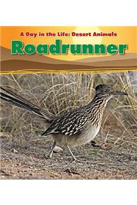 Roadrunner