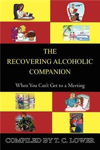 Recovering Alcoholic Companion