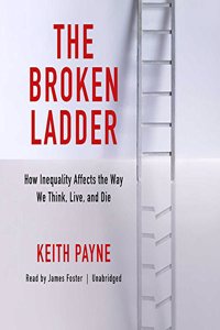 Broken Ladder Lib/E