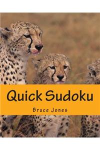 Quick Sudoku: Fast, Fun, and Easy Sudoku Puzzles