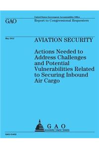 Aviation Security