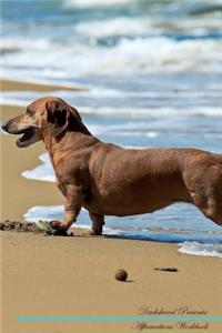 Dachshund Affirmations Workbook Dachshund Presents: Positive and Loving Affirmations Workbook. Includes: Mentoring Questions, Guidance, Supporting You.: Positive and Loving Affirmations Workbook. Includes: Mentoring Questions, Guidance, Supporting You.