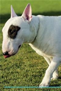 Miniature Bull Terrier Affirmations Workbook Miniature Bull Terrier Presents