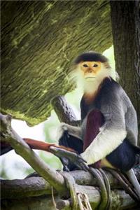 Douc Langur Monkey Journal