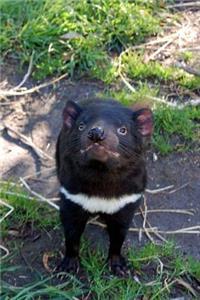 Tasmanian Devil Animal Journal