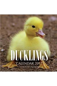 Ducklings Calendar 2017