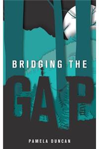 Bridging the Gap