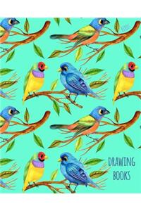 Drawing Books Birds