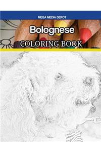 Bolognese Coloring Book