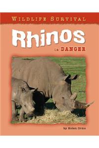 Rhinos in Danger