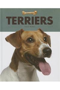 Terriers
