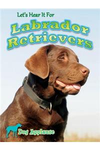 Let's Hear It for Labrador Retrievers