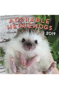Adorable Hedgehogs 2019: 16-Month Calendar - September 2018 Through December 2019
