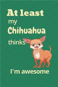 At least My Chihuahua thinks I'm awesome