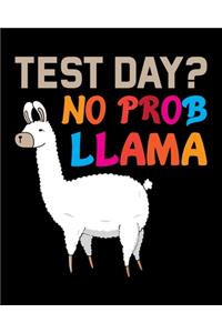 Test Day No Prob Llama