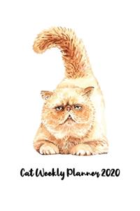 Cat Weekly Planner 2020: Water cat stuff monthly weekly planner with 12 months Jan 2020 - Dec 2020 for Schedule Organizer, To Do List, Academic Schedule, Appointment Calenda