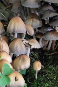 Forest Mushrooms Journal