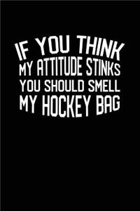 If You Think My Attitude Stinks You Should Smell My Hockey Bag