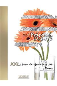 Práctica Dibujo - XXL Libro de ejercicios 14
