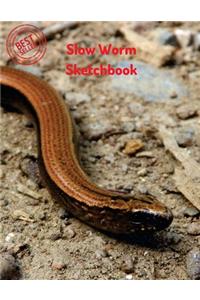 Slow Worm Sketchbook