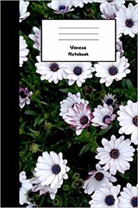 Veneza Notebook