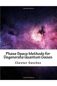 Phase Space Methods for Degenerate Quantum Gases