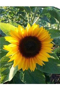 Sunflower Notebook