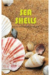 Sea Shells Pocket Monthly Planner 2018